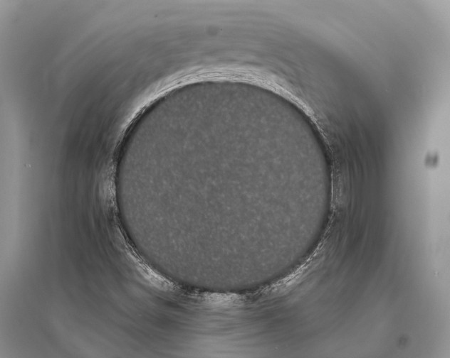 X0000094921498200712201208