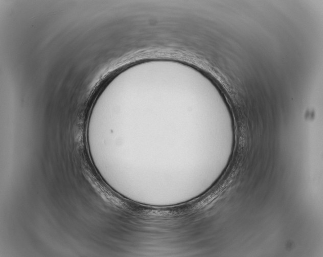 X0000094921499200712201208