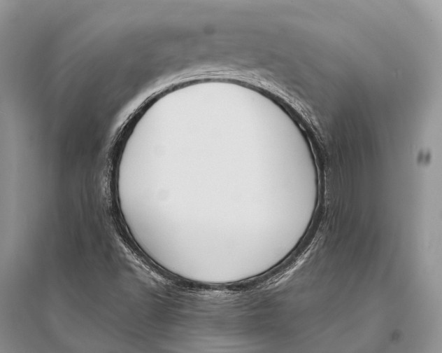 X0000094921502200712201208