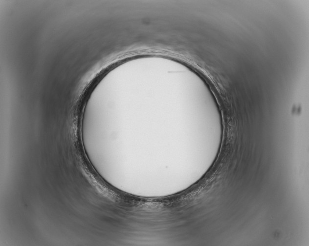 X0000094921503200712201208