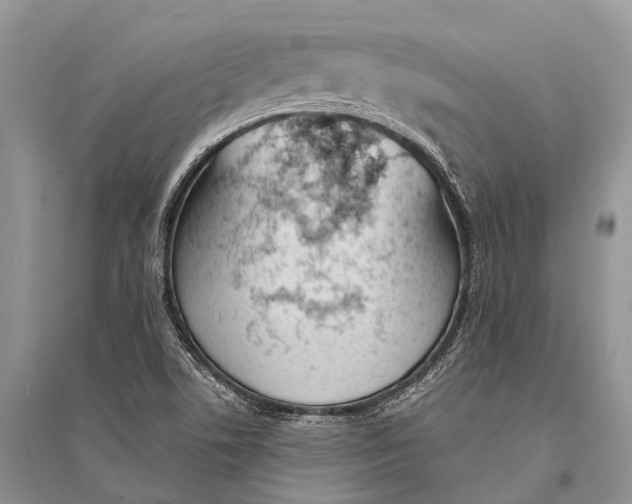 X0000094921506200712201208