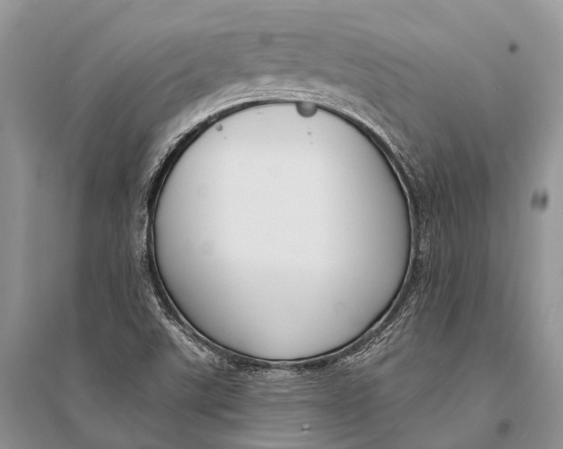 X0000094921507200712201208