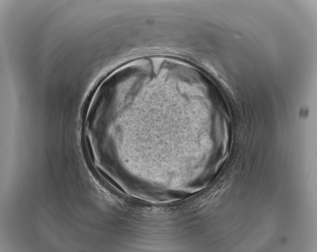 X0000094921508200712201208