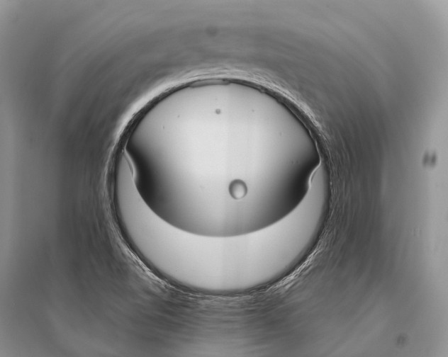 X0000094921510200712201208