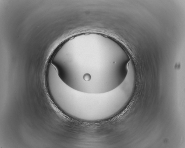 X0000094921511200712201208