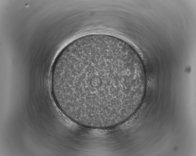 X0000094921514200712201208