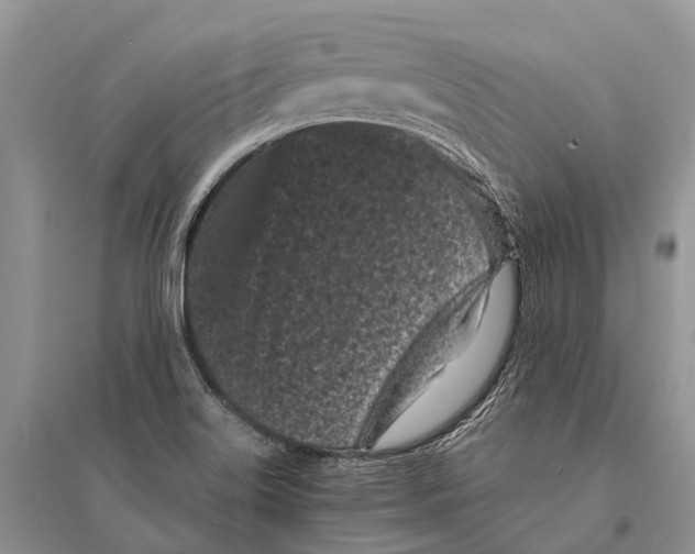 X0000094921515200712201208