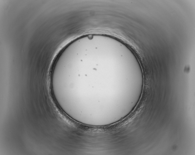 X0000094921517200712201208