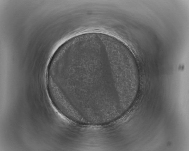 X0000094921519200712201208