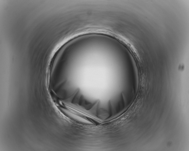 X0000094921520200712201208