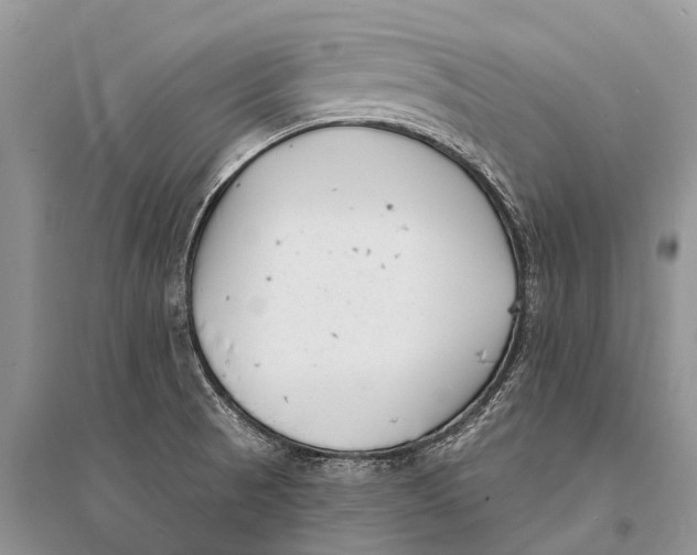 X0000094921521200712201208