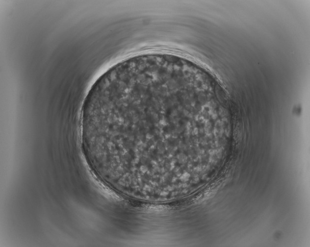 X0000094921522200712201208