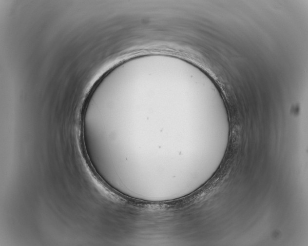 X0000094921523200712201208