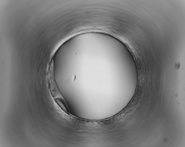 X0000094921524200712201208