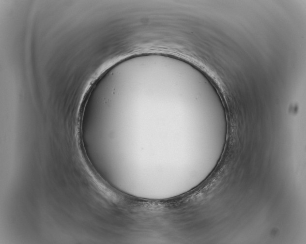 X0000094921525200712201208