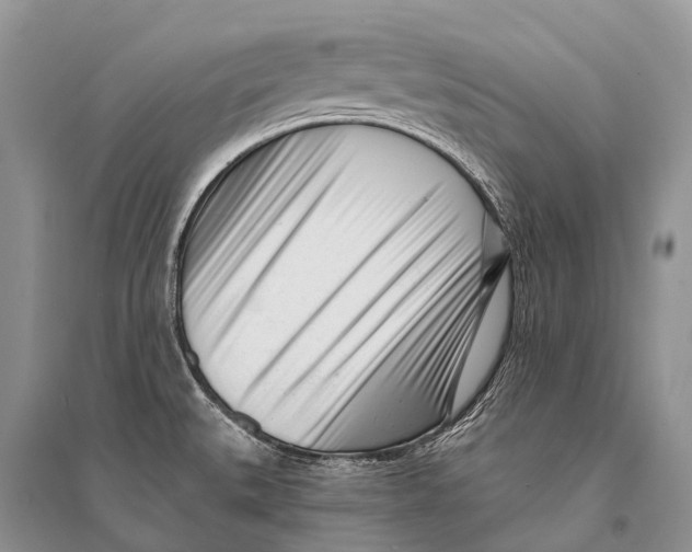 X0000094921527200712201209