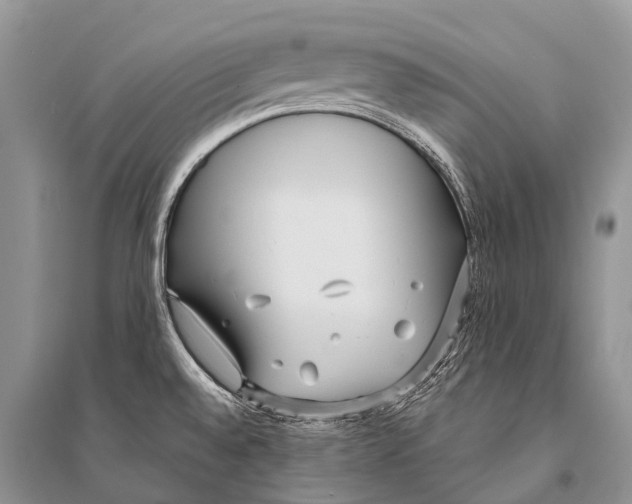 X0000094921528200712201209