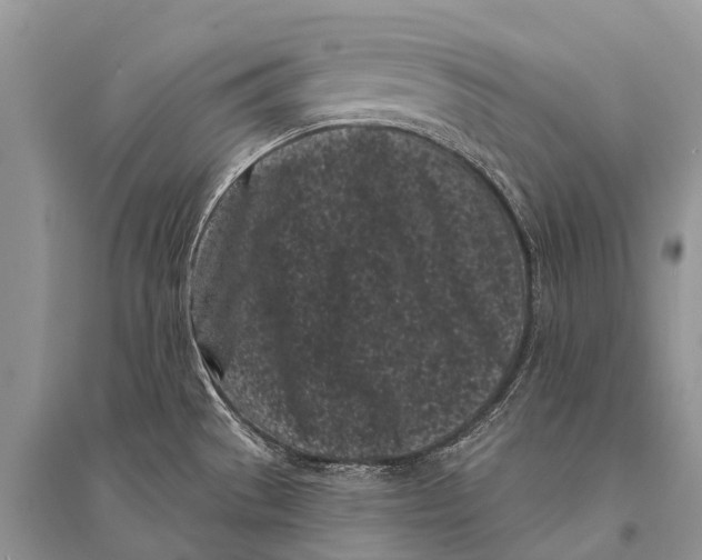 X0000094921529200712201209