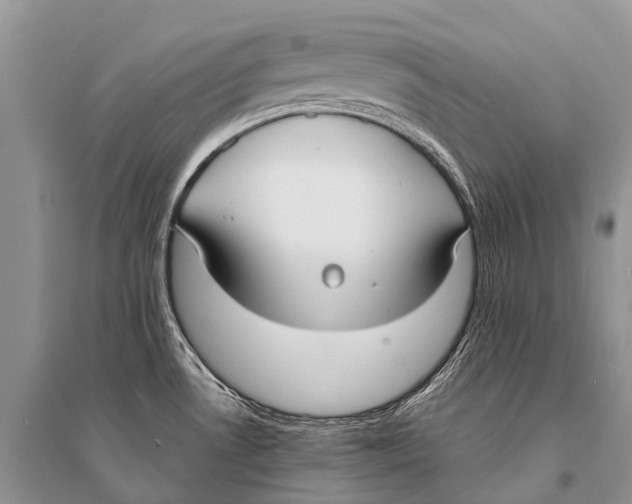 X0000094921530200712201209