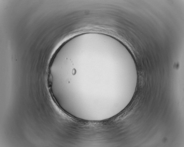 X0000094921531200712201209