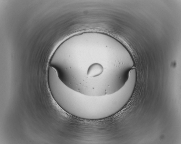 X0000094921532200712201209