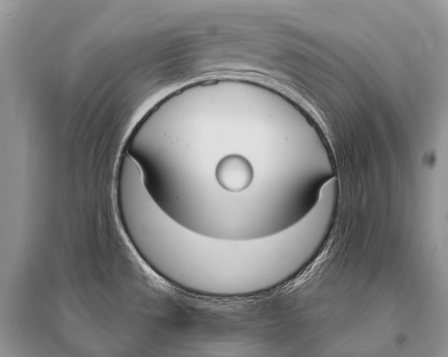 X0000094921533200712201209