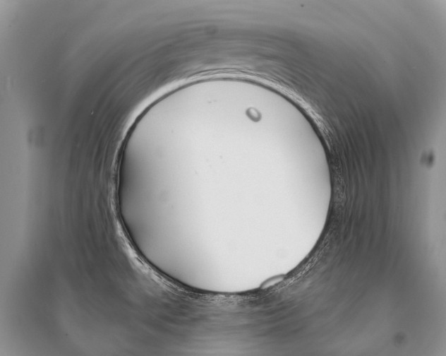 X0000094921534200712201209