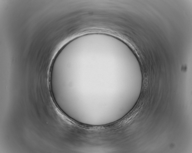 X0000094921535200712201209