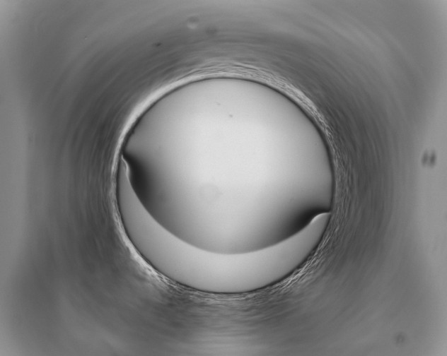 X0000094921536200712201209