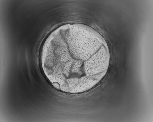 X0000094920002200712271542