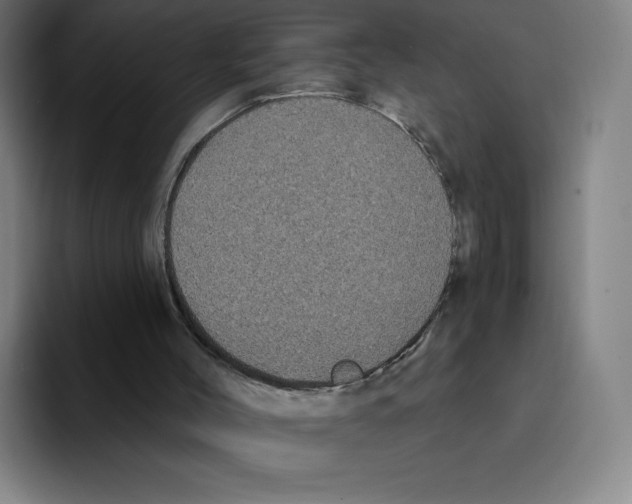 X0000094920004200712271542
