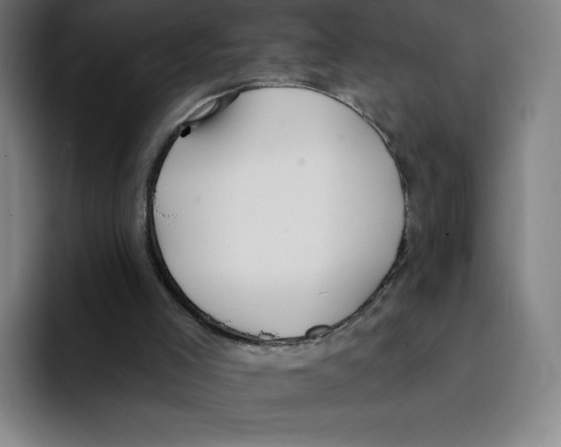 X0000094920005200712271542