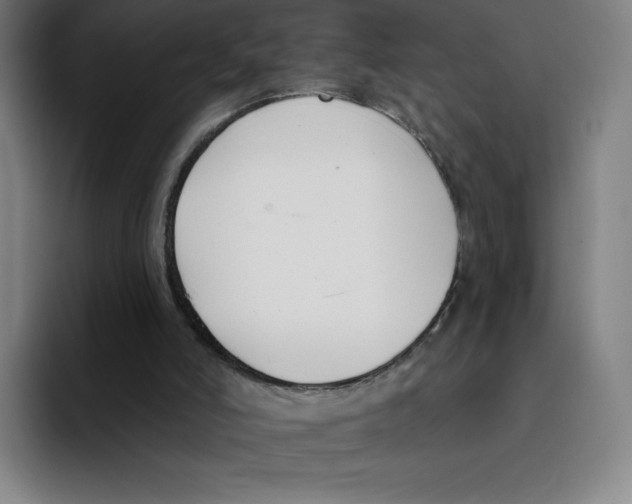 X0000094920006200712271542