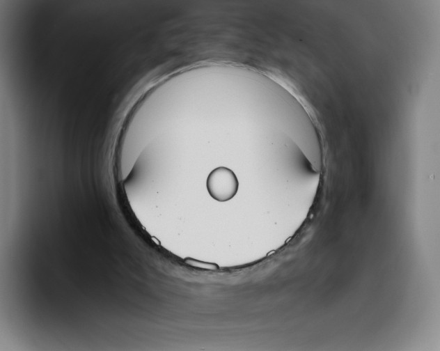 X0000094920007200712271542