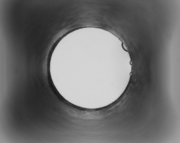 X0000094920008200712271542