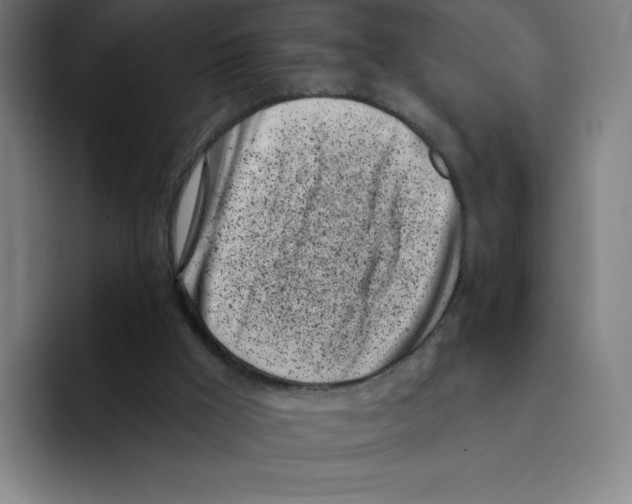 X0000094920009200712271542