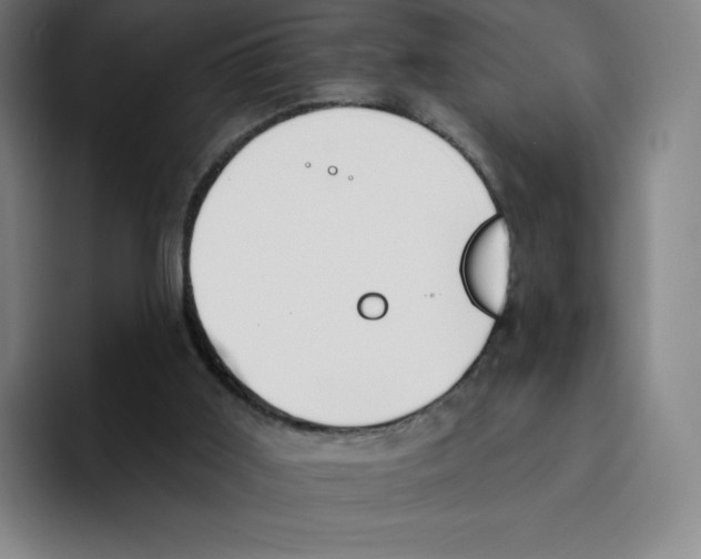 X0000094920011200712271542