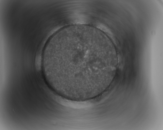 X0000094920012200712271542