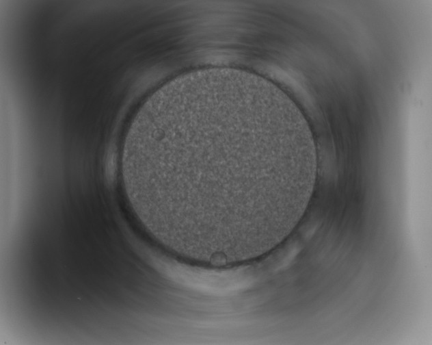 X0000094920016200712271542