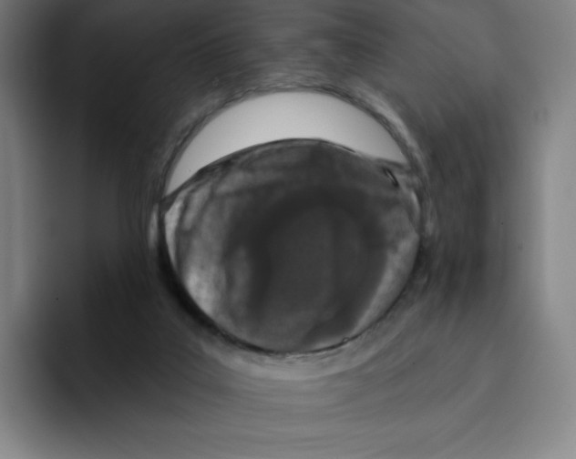 X0000094920019200712271542