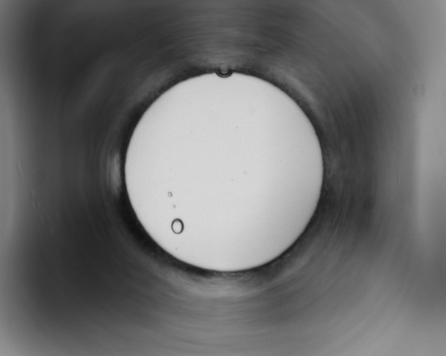 X0000094920020200712271542