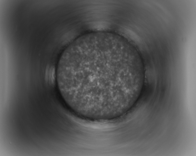 X0000094920024200712271542