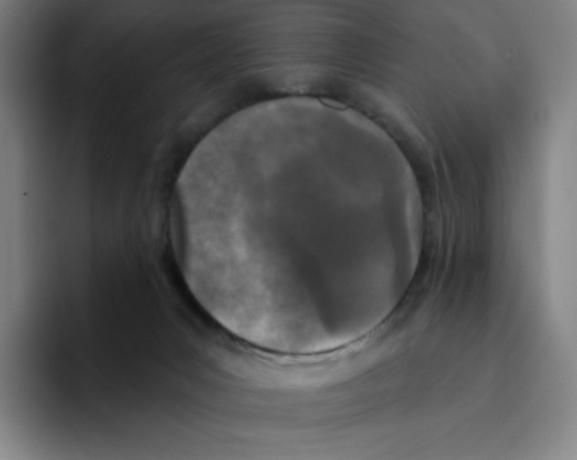 X0000094920031200712271541