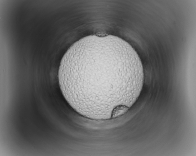 X0000094920034200712271541