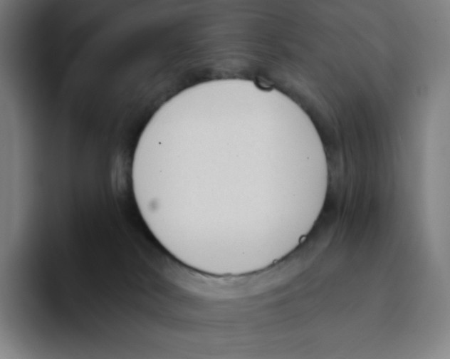X0000094920038200712271541