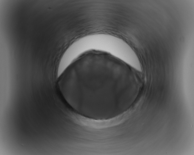 X0000094920039200712271541