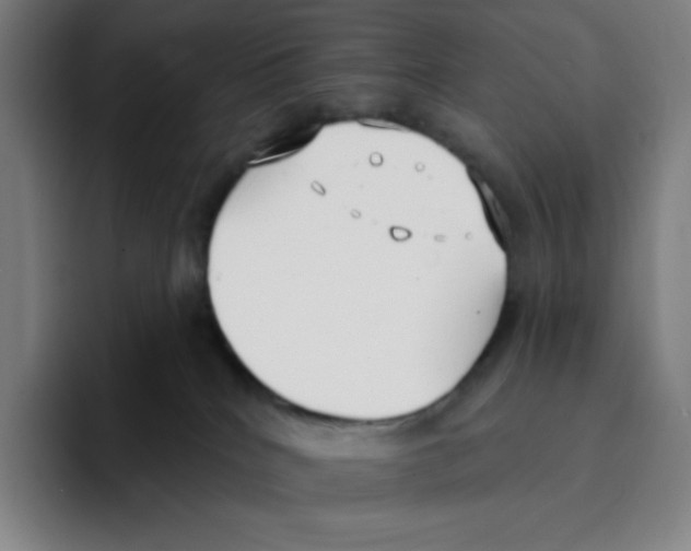 X0000094920040200712271541