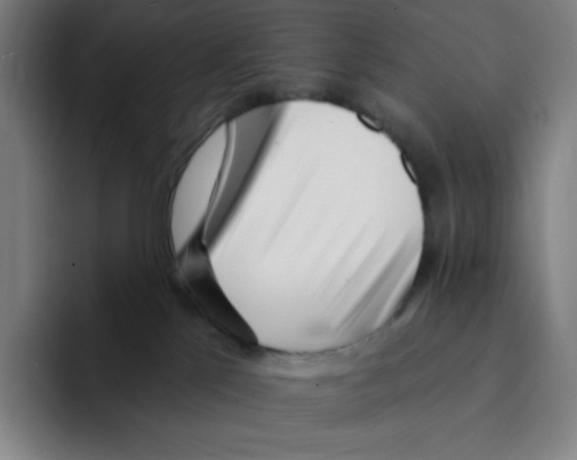 X0000094920041200712271541
