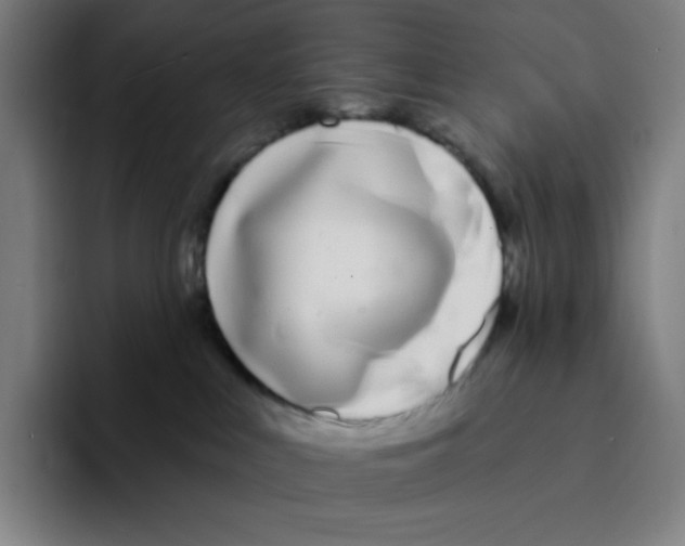 X0000094920043200712271541