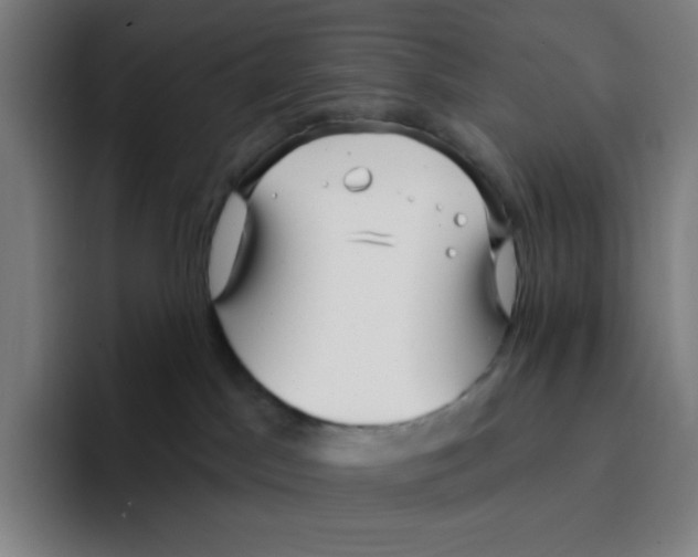 X0000094920045200712271541